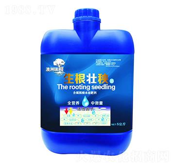 ��������-��������