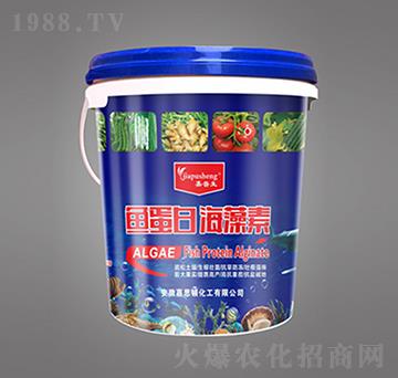 魚蛋白海藻素-嘉普生-嘉思頓