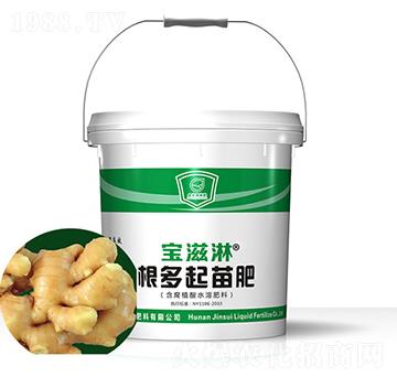 大姜專用根多起苗肥-寶滋淋-金歲液體肥