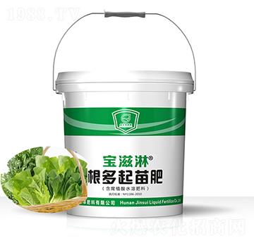 葉菜專用根多起苗肥-寶滋淋-金歲液體肥