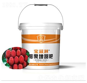 楊梅專用膨果增甜肥-寶滋淋-金歲液體肥