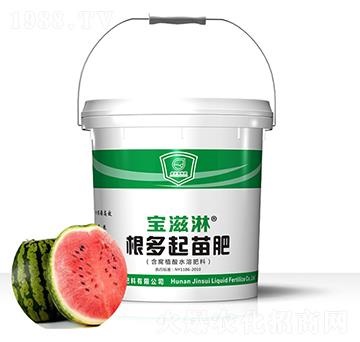 西瓜專用根多起苗肥-寶滋淋-金歲液體肥