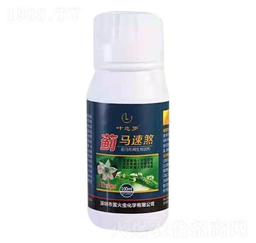 薊馬專用生物溶劑-薊馬速煞-螢火蟲