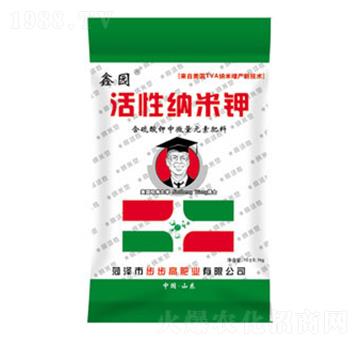 ���Լ{���-�Έ@-����