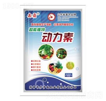 ֲ�������-�ΰ�-����