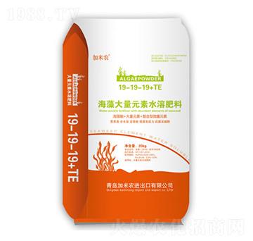 �������Ԫ��ˮ�ܷ���19-19-19+TE-�����r(n��ng)