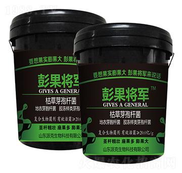 �ݲ�ѿ�ߗU��-������܊-�����r(n��ng)