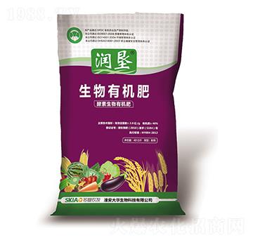 �����ЙC(j��)��-����-���A����