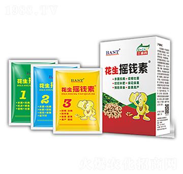 花生搖錢(qián)素-搖錢(qián)素作物