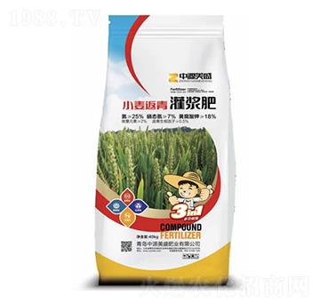 小麥返青灌漿肥-中源美盛