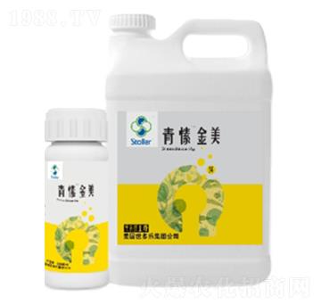 ��㺽���-������