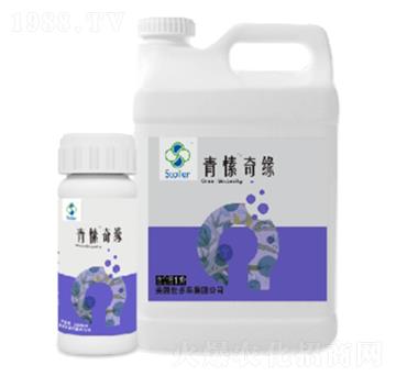 ����澉-������