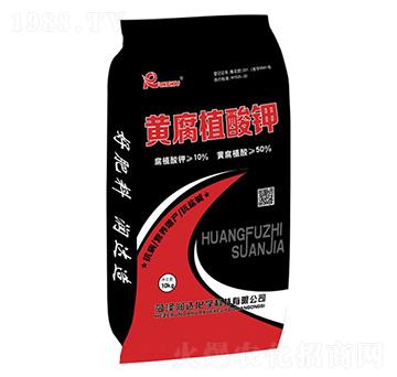 �S��ֲ���-��(r��n)�_(d��)���W(xu��)