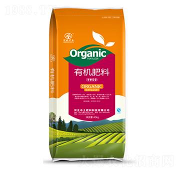 �ЙC����-��������