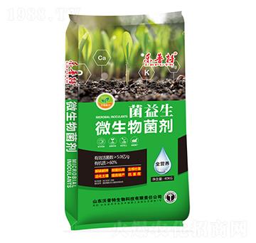 ������΢�������-������-������