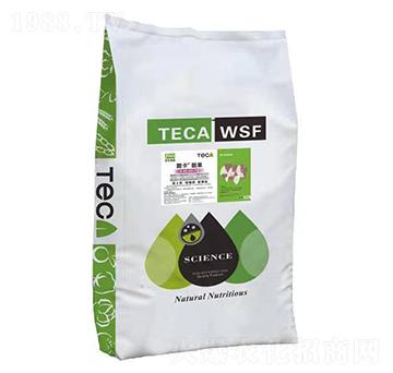 靚果-圖卡-同利生物