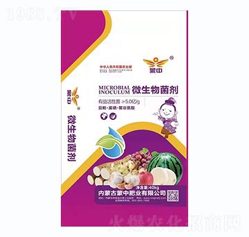 40kg΢�������-���зʘI(y��)