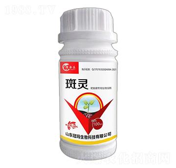 靶斑病專用生物溶劑-斑靈-冠瑪生物