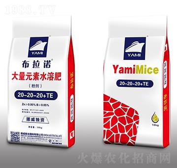 大量元素水溶肥20-20-20+TE-布拉諾-雅米作物
