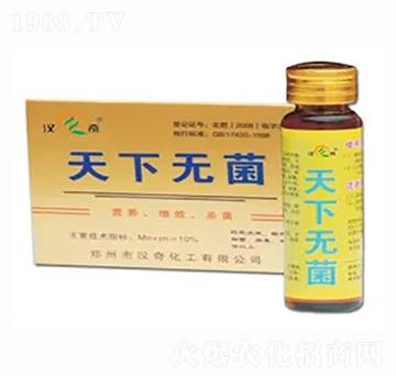 ���o��-�h�滯��