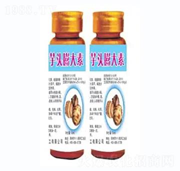 ���^�����-�h�滯��