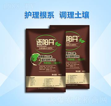 ����ֲ��ˮ�ܷ���-߀�(y��ng)��-�r(n��ng)��ʩ