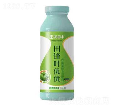 田鋒葉優(yōu)優(yōu)-含氨基酸水溶肥-龍?zhí)镓S