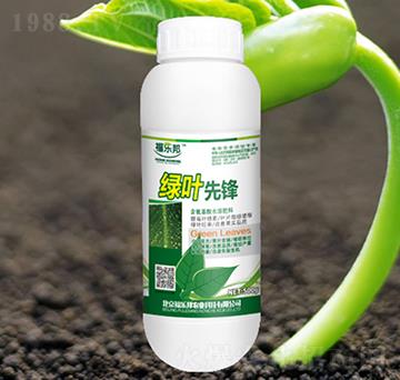 綠葉先鋒-福樂邦