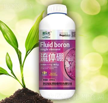 ���w��-����(l��)��