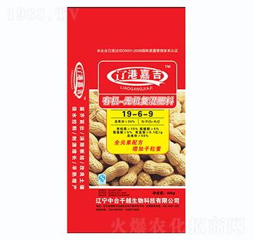 �ЙC-�o�C��(f��)���19-