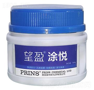 望盈涂悅-英國(guó)普林斯