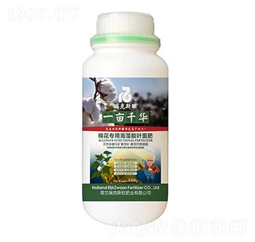 500g�޻����ú����Ṧ�ܷ�-һ��ǧ�A-���˹��