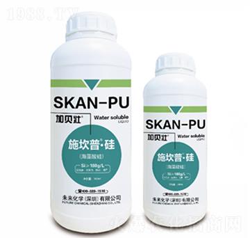 施坎普-硅-未來化學