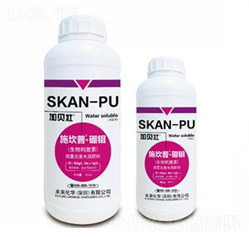 施坎普-硼鉬-未來化學