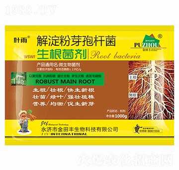 解淀粉芽孢桿菌-生根菌劑-金田豐