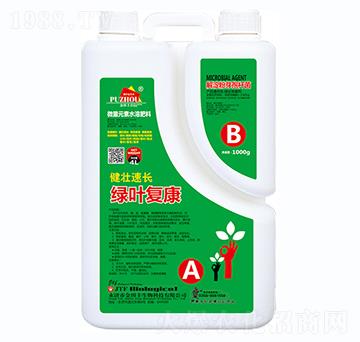 健壯速長綠葉復(fù)康-金田豐