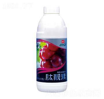 500g���n��-��Դ����