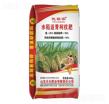 水稻返青柯杈肥-大化肥業(yè)
