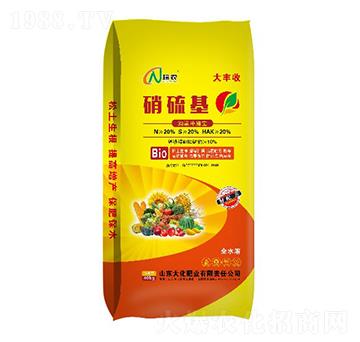 硝硫基復(fù)合肥料-大化肥業(yè)