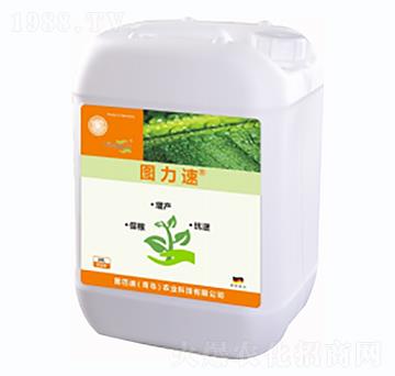 �D����-�D�͵�