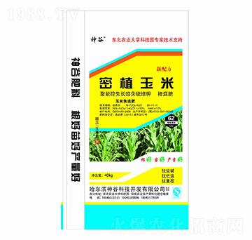 密植玉米專用聚能控失長效含硫增鉀免追摻混肥料28-11-11-神谷-犇牛農(nóng)業(yè)