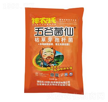 枯草芽孢桿菌-五谷菌仙-神農(nóng)氏