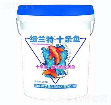 紐蘭特+十條魚-神農(nóng)氏