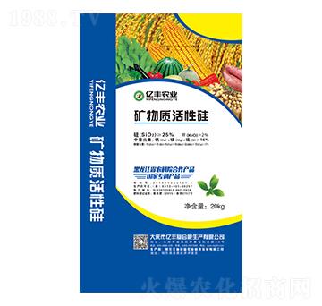 �V���|���Թ�-�|�S