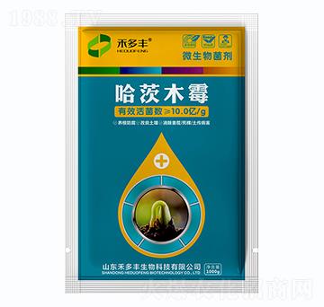 ����ľù-�̶��S