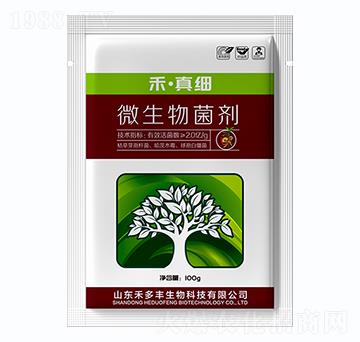 ΢�������-���漚-�̶��S