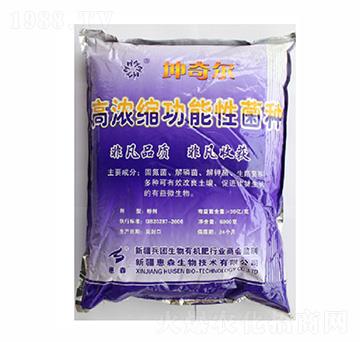 �ߝ�s�����Ծ��N-���栖-��ɭ����