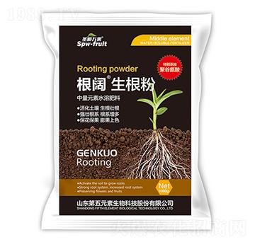 1000g���������-ʥ���f��-����Ԫ��