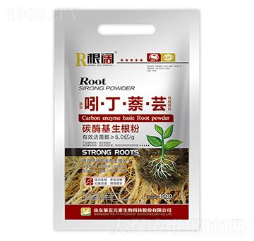 �š����������|-���-����Ԫ��