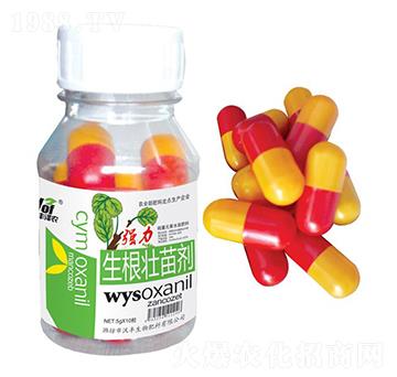 �����������焩-���S���r-���S����